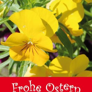 Wir wünschen Frohe Ostern ...