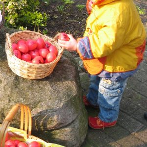 Der kleine Ostergruß der Versmolder SPD