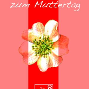 Alles Liebe zum Muttertag